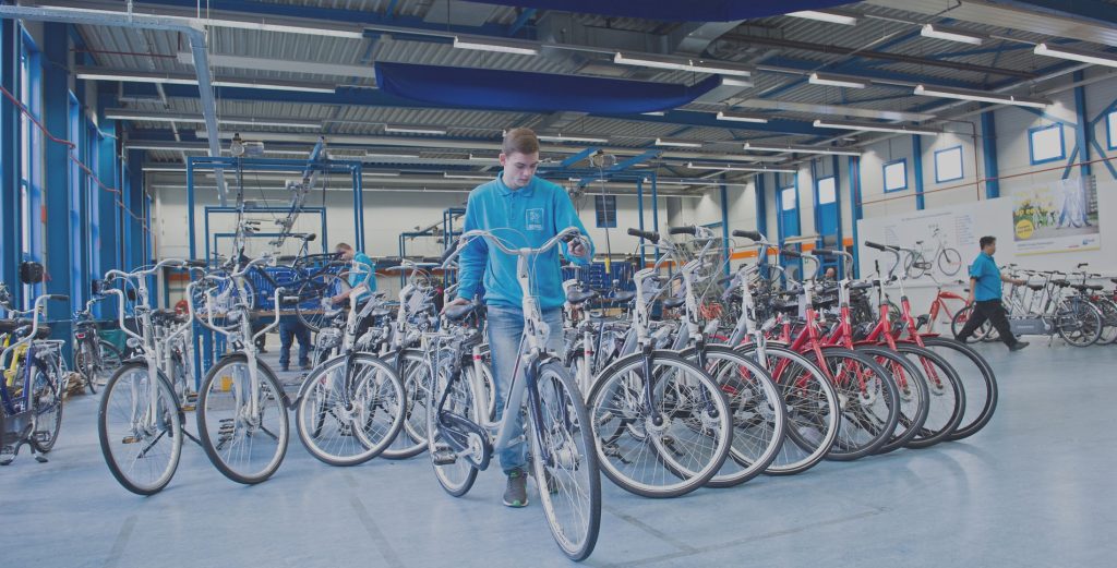 Zilt-Bikes