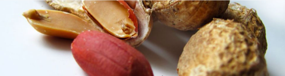 Intersnack Nederland